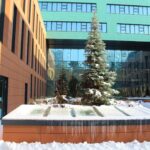 Lluernaris planta soterrani